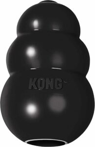 KONG Extreme Dog Toy for Aggressive Chewers 2025 Review