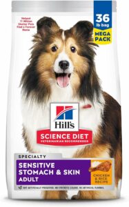 Hill's Science Diet Sensitive Stomach & Skin Adult Dog Food 36 lb bag with Sheltie dog on packaging