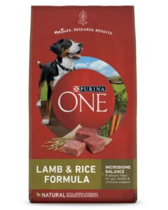 Purina ONE SmartBlend Lamb and Rice Formula dry dog food bag with product details and ingredients visible