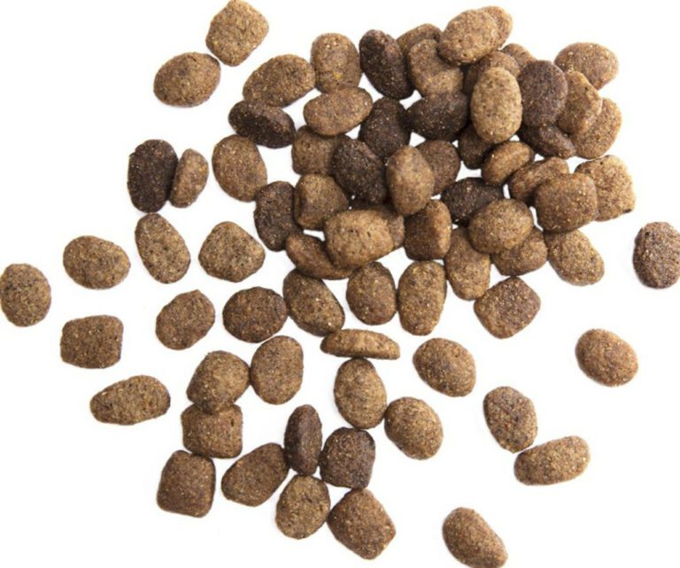 Side-by-side comparison of premium and budget dog food