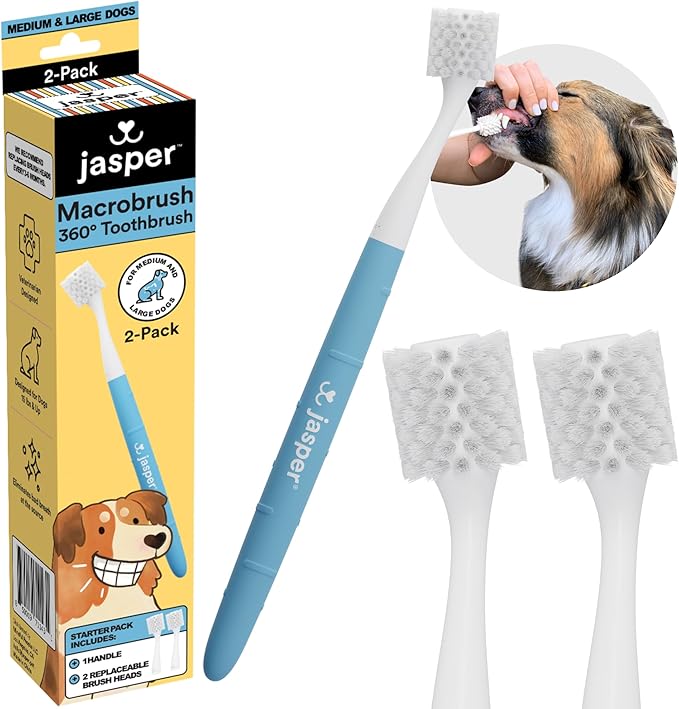 asper Macrobrush 360° dog toothbrush 2-pack with replaceable brush heads and demonstration of use on medium to large dogs