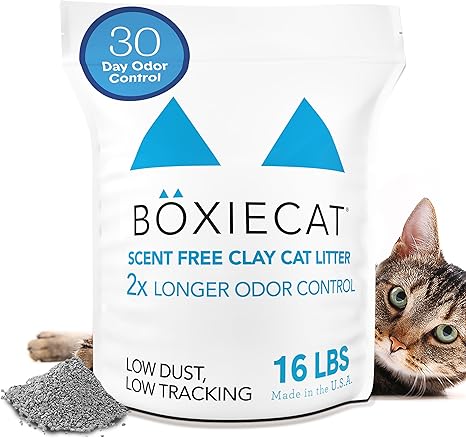Boxiecat Premium Clumping Clay Cat Litter package in white and blue design showing 16 lb bag with 30-day odor control badge, featuring curious tabby cat peeking from behind the package and small pile of gray clay litter granules