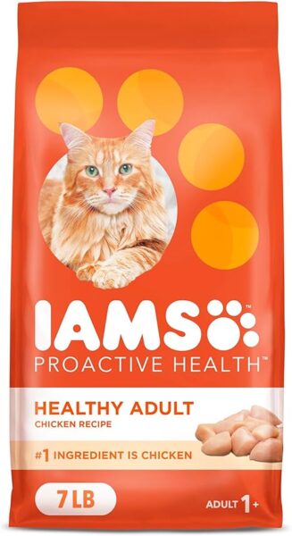 IAMS ProActive Health Healthy Adult cat food bag in vibrant orange packaging featuring an orange tabby cat with blue eyes, highlighting chicken as the #1 ingredient in a 7 lb bag for adult cats.