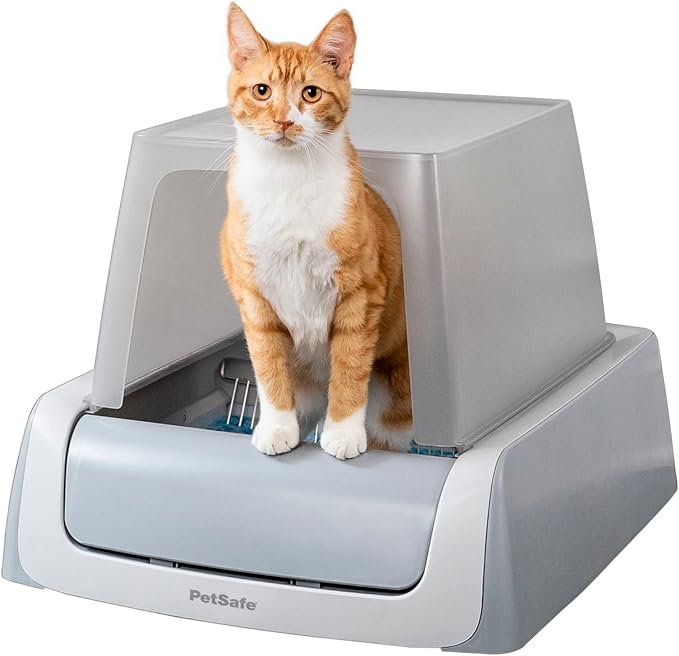 An orange and white ginger tabby cat sits in a grey and white PetSafe ScoopFree Covered Self-Cleaning Cat Litter Box, looking directly at the camera