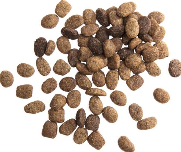 Premium vs budget dog kibble Side-by-side comparison of premium and budget dog food